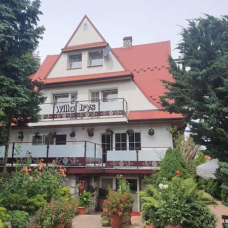 بوكافينا تترايسكا Willa Irys المظهر الخارجي الصورة